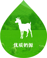 优质奶源